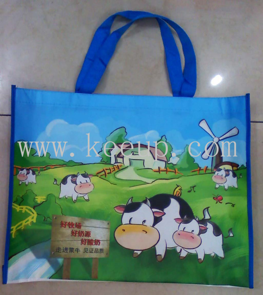 laminated-bag
