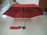 Custom Printing Logo Auto Umbrella