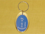 Customized Oval Acrylic Keychains
