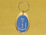 Customized Oval Acrylic Keychains