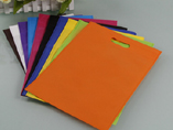 80 gsm Polypropylene Non-Woven Die Cut Handle Bag