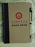 Eco Notebook with Pen