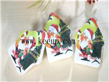 Customized Christmas theme house shape Compressed towel