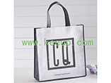 Durable Non-Woven gift Bags