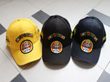 wholesale 6 panels baseball cap with 3D embroidery logo