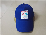 Promotional Gifts Baseball Caps