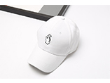 Hot sell Eo-friendly and Embroidery baseball caps with your special logo