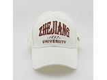 Summer hot sell baseball hats with 3D embroidery custom logo for advertising