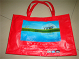 Full color print film laminated non-woven bag