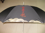 Advertising Umbrella