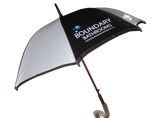 Advertising Umbrella