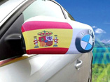 Customized Car Mirror Cover