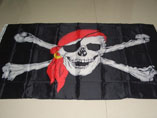 Best Quality Polyester Flag