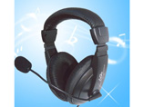 Customized Stereo Headset