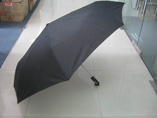 Promotional automatic Umbrella
