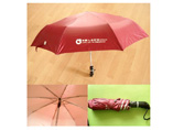 Customized Auto Umbrella