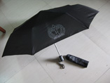 Promotional Folding Auto Umbrella