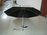 Automatic Umbrella