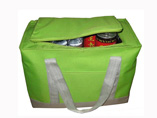 Double-Layer 24 Tin Large Cooler Bag