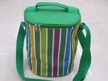 Fashionable Streaks Cooler Bag