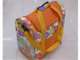 600D  Cooler Bag