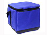 Cooler Bag