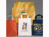 Customized Plastic Shopping bag