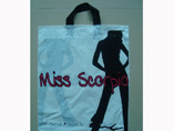 Fashionable Plastic Shopping Bag