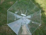 Wholesale Transparent Straight Umbrella