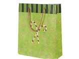 Promotional  Paper Bag