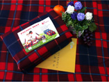 Eco Friendly Velvet Picnic Rugs