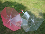 Promotional Transparent Umbrella