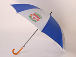 Cheap Advertising Umbrella