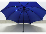 Blue Luminous Umbrella