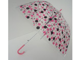 Transparent Umbrella In Dome Shape