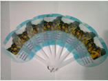 Personalized Advertising Fan