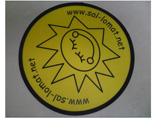 Popular Folding Flying Disc