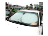 Printed Aluminum Bubble Car Sunshade