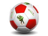 Eco-friendly PU Training Soccer or Football