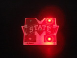 Flashing Light Badges