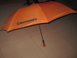 Fashion Two Canopy Golf Umbrella