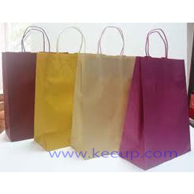 Wholesale Shopping Paper Bag