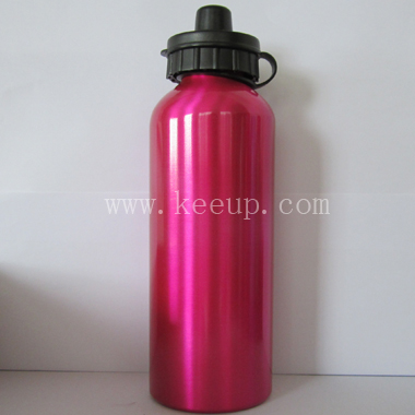 Personalized Stainless Steel Sport Bottles